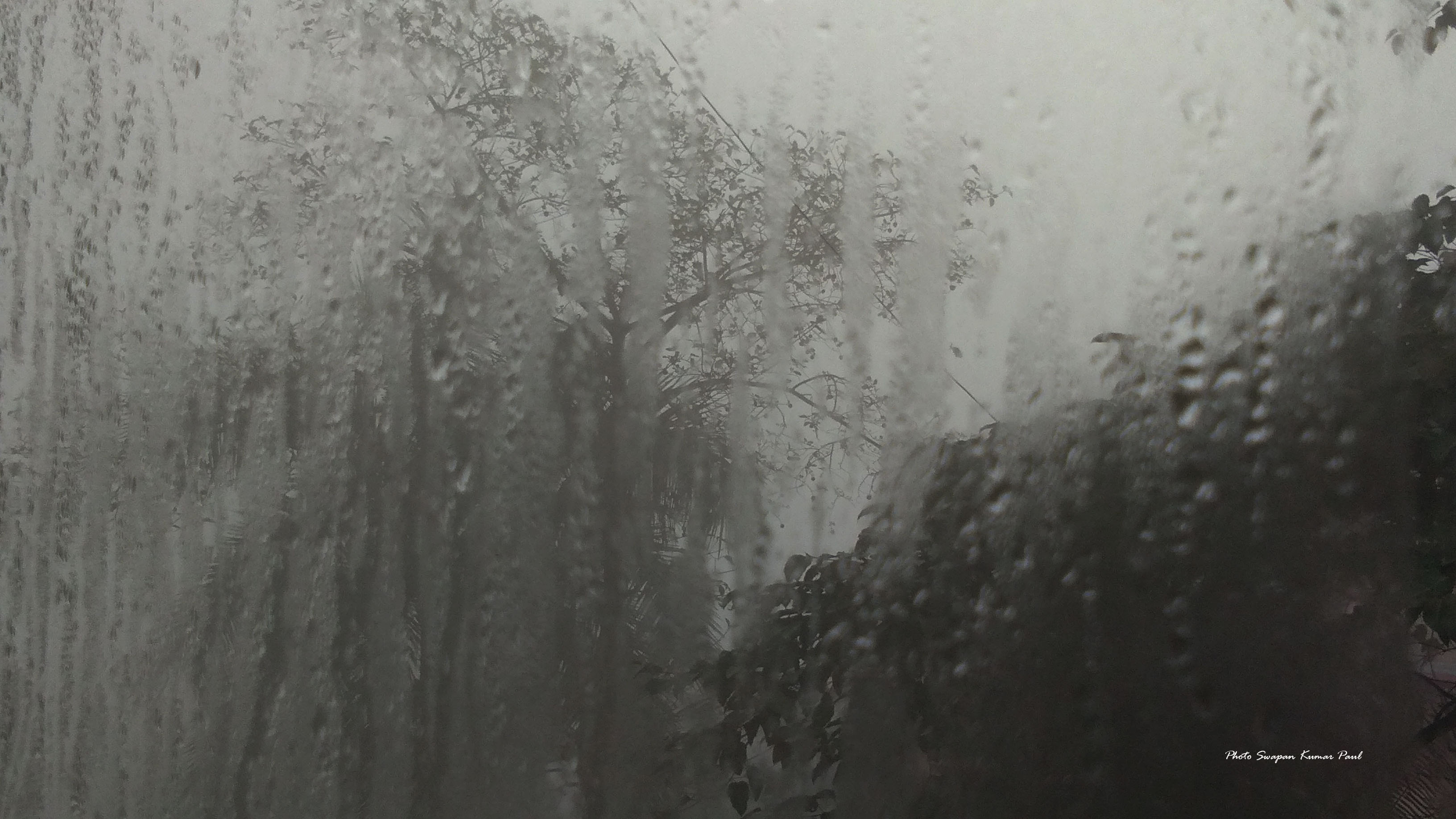 Spring Image 4